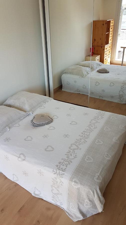 Apartment Tres Beau 3 Pieces Spacieux Lumineux Et Climatise